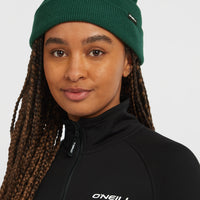 Bonnet Dolomite | Emerald Envy