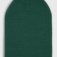 Bonnet Dolomite | Emerald Envy