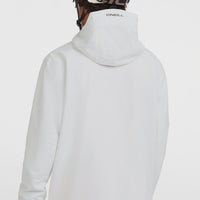 Veste de ski et snowboard FWC'Play Park Anorak | Undyed