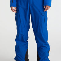 Pantalon de snow Cargo | Surf the web Blue