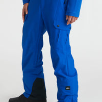 Pantalon de snow Cargo | Surf the web Blue