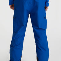 Pantalon de snow Cargo | Surf the web Blue