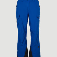 Pantalon de snow Cargo | Surf the web Blue