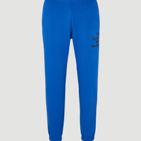 Pantalon de survêtement Future Surf Society | Surf the web Blue