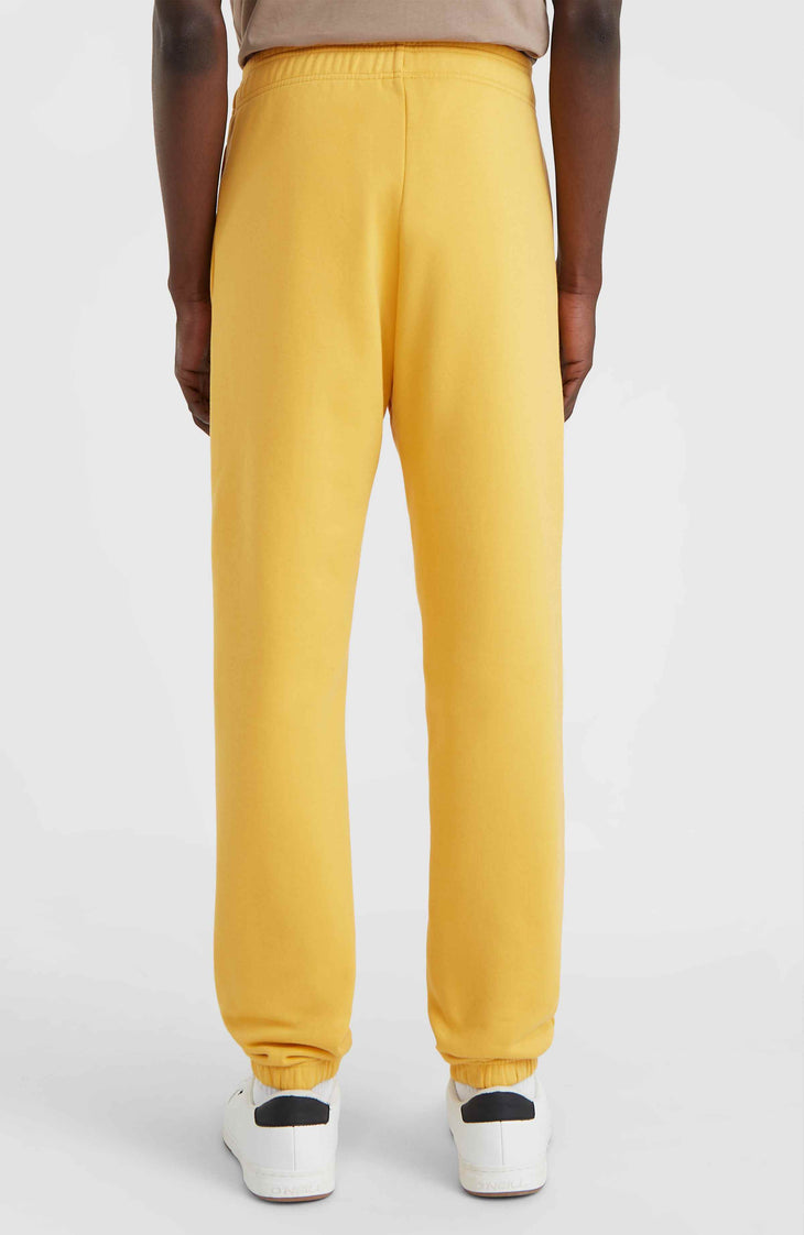 Pantalon de survêtement Future Surf Society | Golden Haze