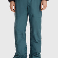 Pantalon de ski Hammer Regular | Alma Steel