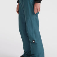 Pantalon de ski Hammer Regular | Alma Steel