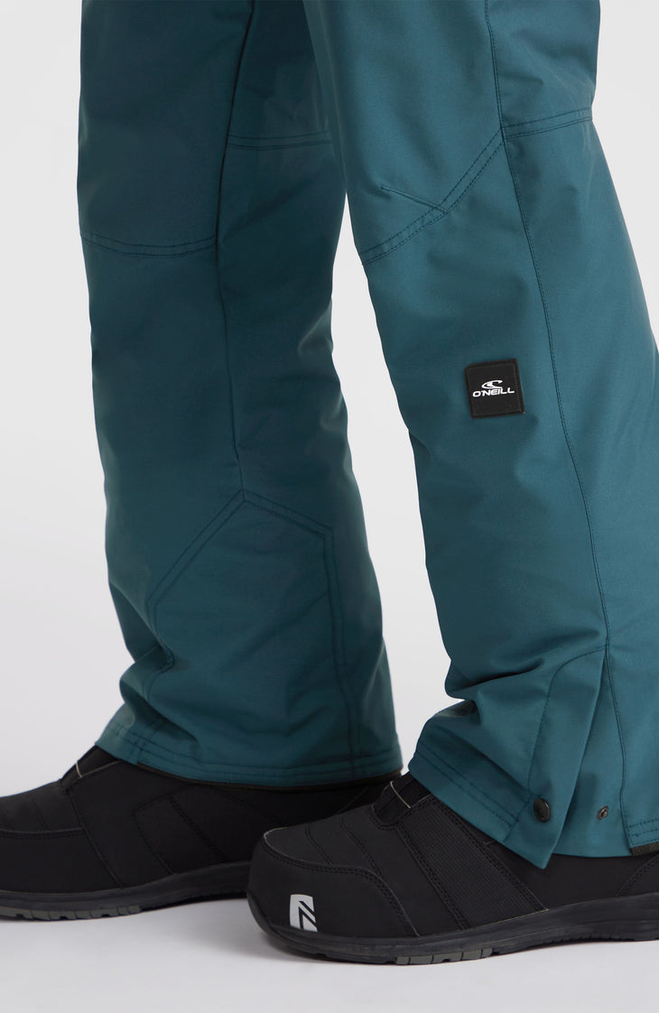 Pantalon de ski Hammer Regular | Alma Steel
