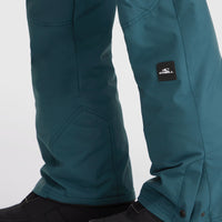 Pantalon de ski Hammer Regular | Alma Steel