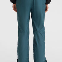 Pantalon de ski Hammer Regular | Alma Steel