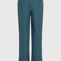 Pantalon de ski Hammer Regular | Alma Steel