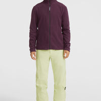 Pantalon de ski Hammer Regular | Lime Wash