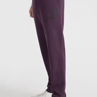 Pantalon de survêtement Future Surf Society | Aubergine