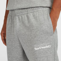 Pantalon de survêtement Future Surf Society | Silver Melee