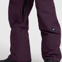 Pantalon de ski Utility Pro Regular | Aubergine