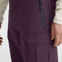 Pantalon de ski Utility Pro Regular | Aubergine