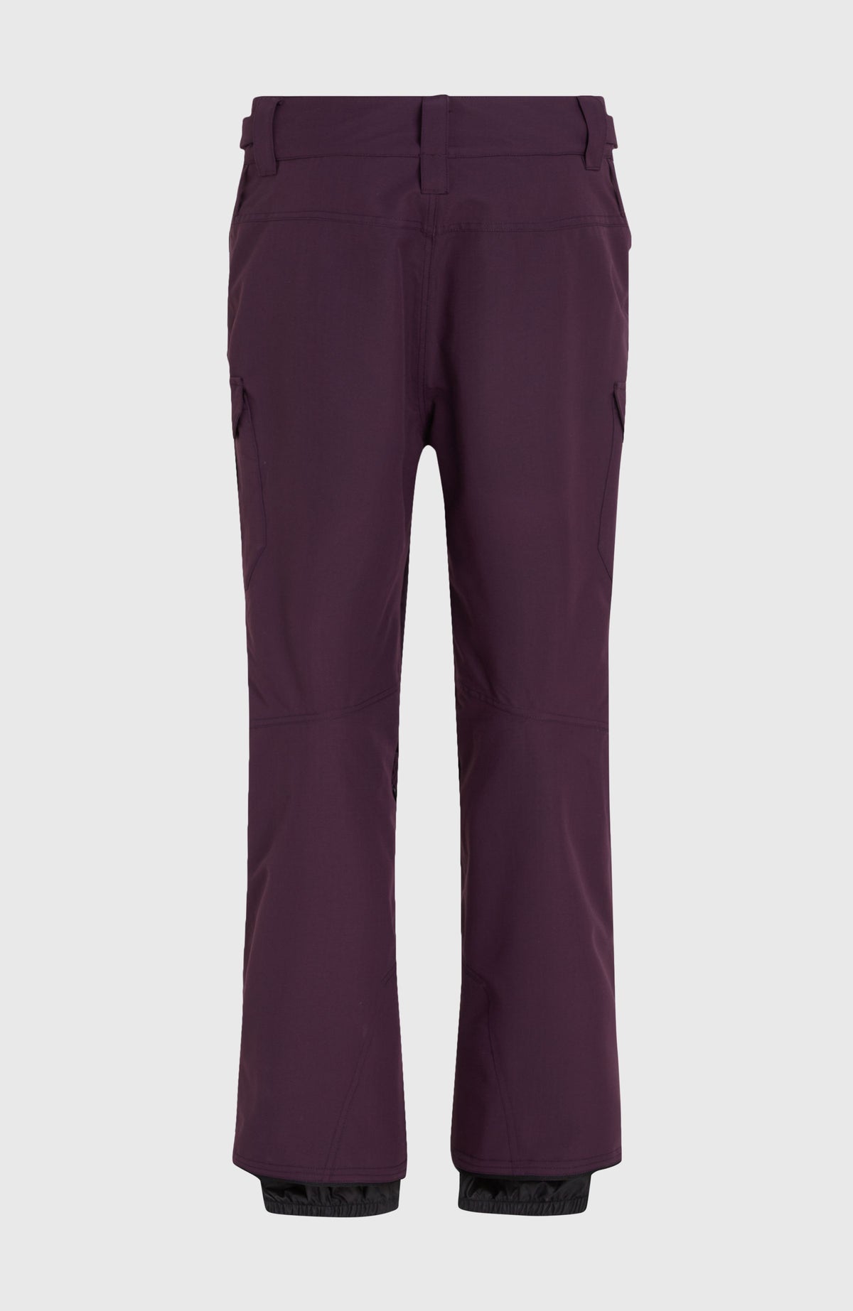 Pantalon de ski Utility Pro Regular | Aubergine