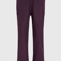 Pantalon de ski Utility Pro Regular | Aubergine