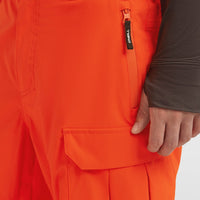 Pantalon de ski FWC'Peak Cargo | Flame