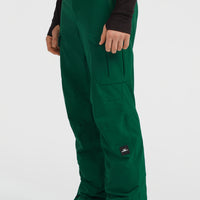 Pantalon de ski FWC'Peak Cargo | Emerald Envy