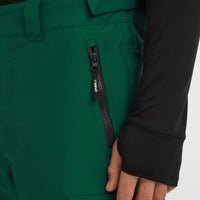 Pantalon de ski FWC'Cruz Cargo | Emerald Envy