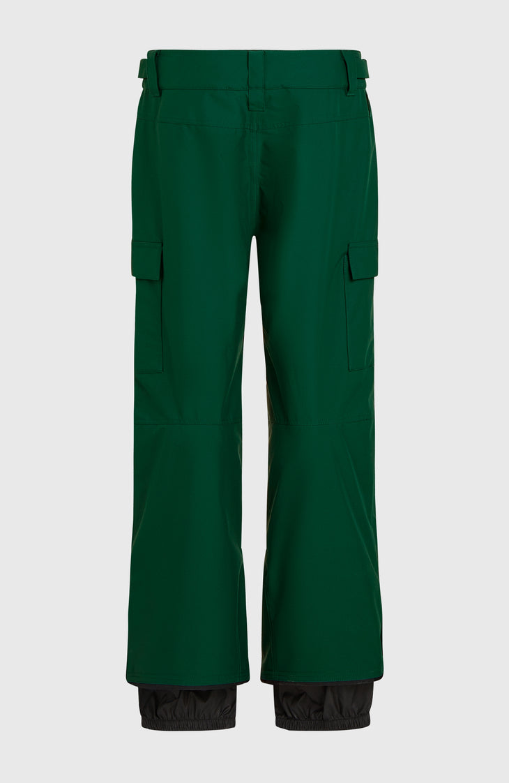 Pantalon de ski FWC'Cruz Cargo | Emerald Envy