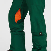 Pantalon de ski à bretelles FWC'Cruz | Emerald Envy