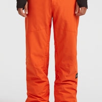 Pantalon de ski FWC'Cruz | Flame