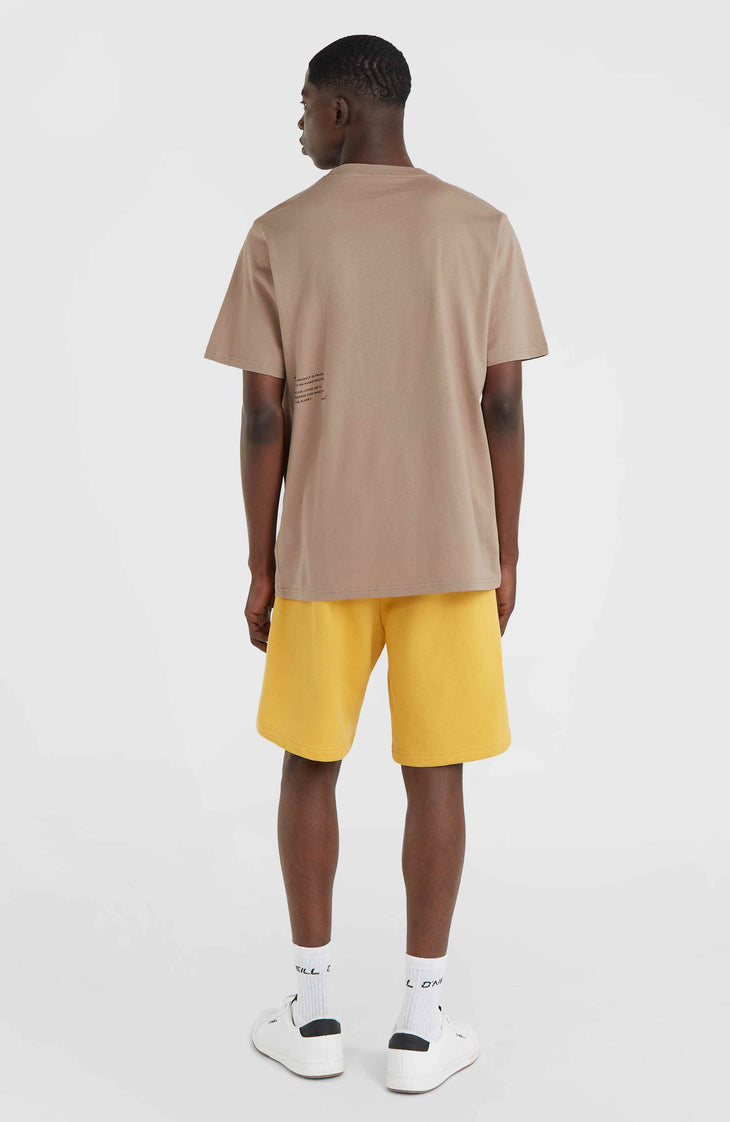 Short Future Surf Society | Golden Haze