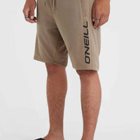 Sweatshort O'Neill Logo | Pumpkin Smoke