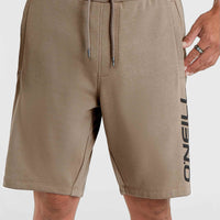 Sweatshort O'Neill Logo | Pumpkin Smoke