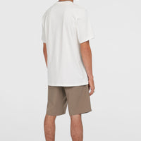 Short chino Hybrid 19 | Pure Cashmere