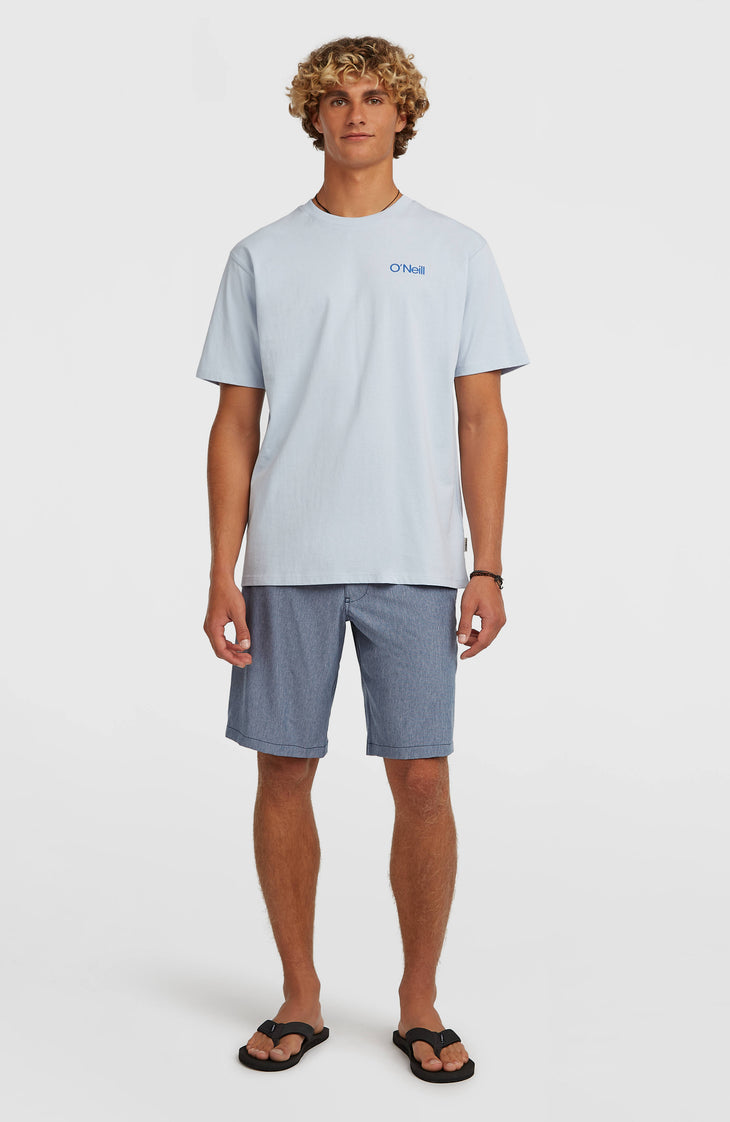 Shorts Hybrid 19" Melange | English Evening