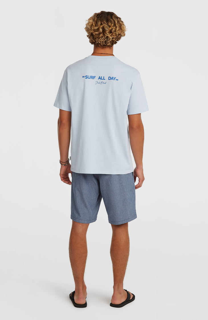 Shorts Hybrid 19" Melange | English Evening