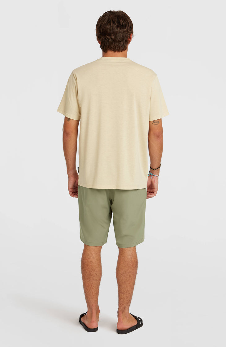 Shorts Hybrid 19" | Avery Fern