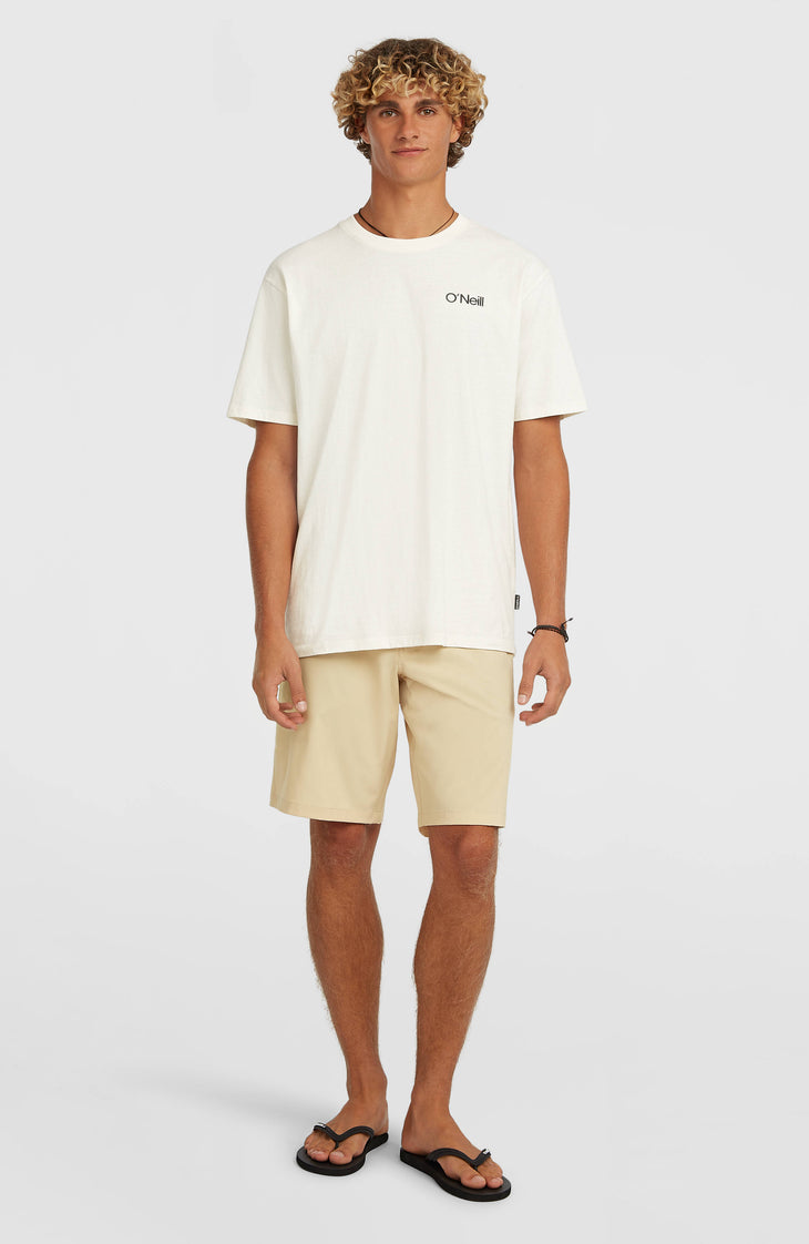 Shorts Hybrid 19" | Cocoa Sand