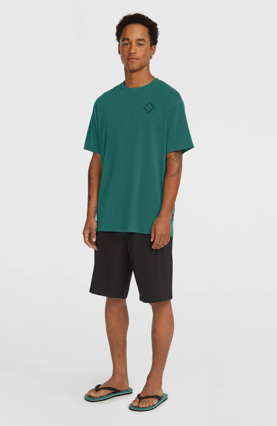 Shorts Hybrid 19" | Black Out