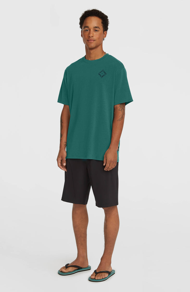 Shorts Hybrid 19" | Black Out