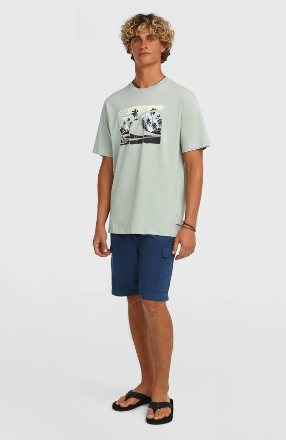 Short cargo O'Neill Essentials Ripstop | English Evening