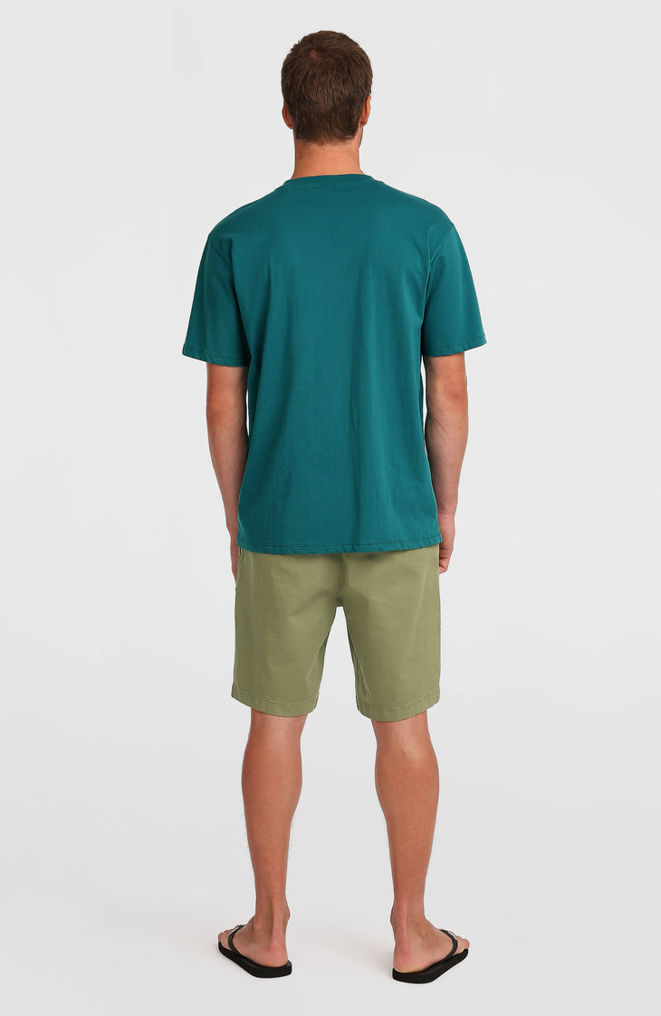 Short chino Essentials | Avery Fern