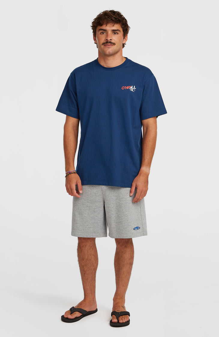 Shorts de survêtement Essentials 90s | Silver Melee
