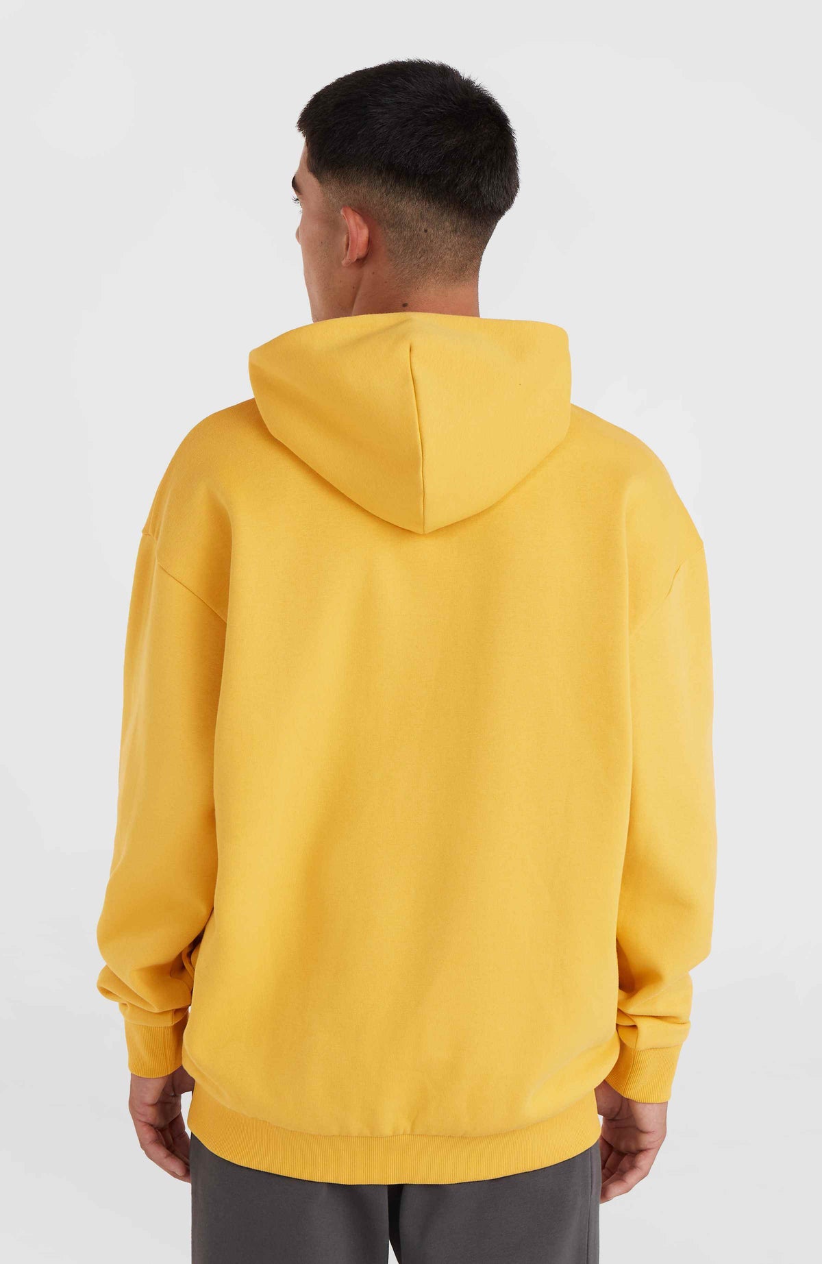 Sweat à capuche Future Surf Society | Golden Haze