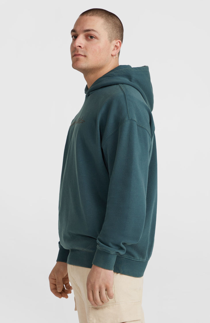 Sweat à capuche Surf Heroes | Alma Steel