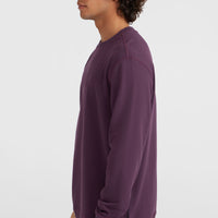 Sweatshirt à col rond Small Logo | Aubergine