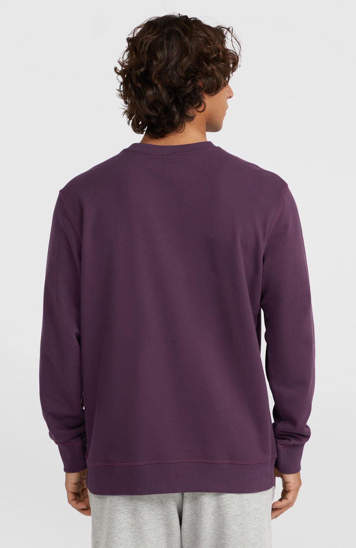 Sweatshirt à col rond Small Logo | Aubergine