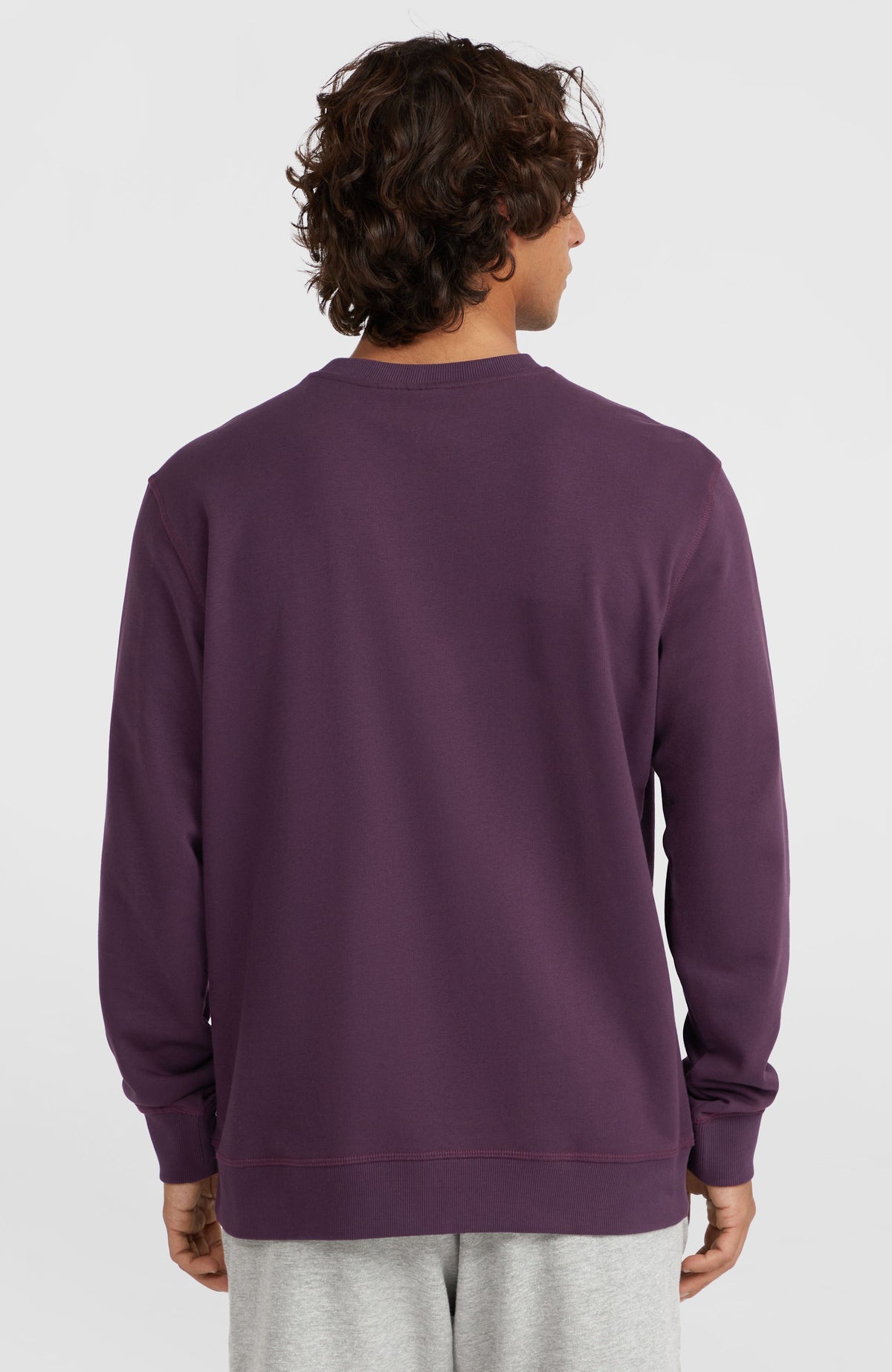Sweatshirt à col rond Small Logo | Aubergine