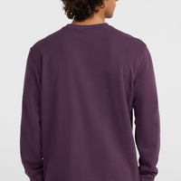 Sweatshirt à col rond Small Logo | Aubergine