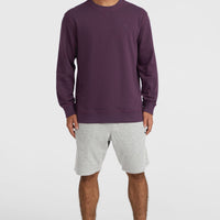 Sweatshirt à col rond Small Logo | Aubergine