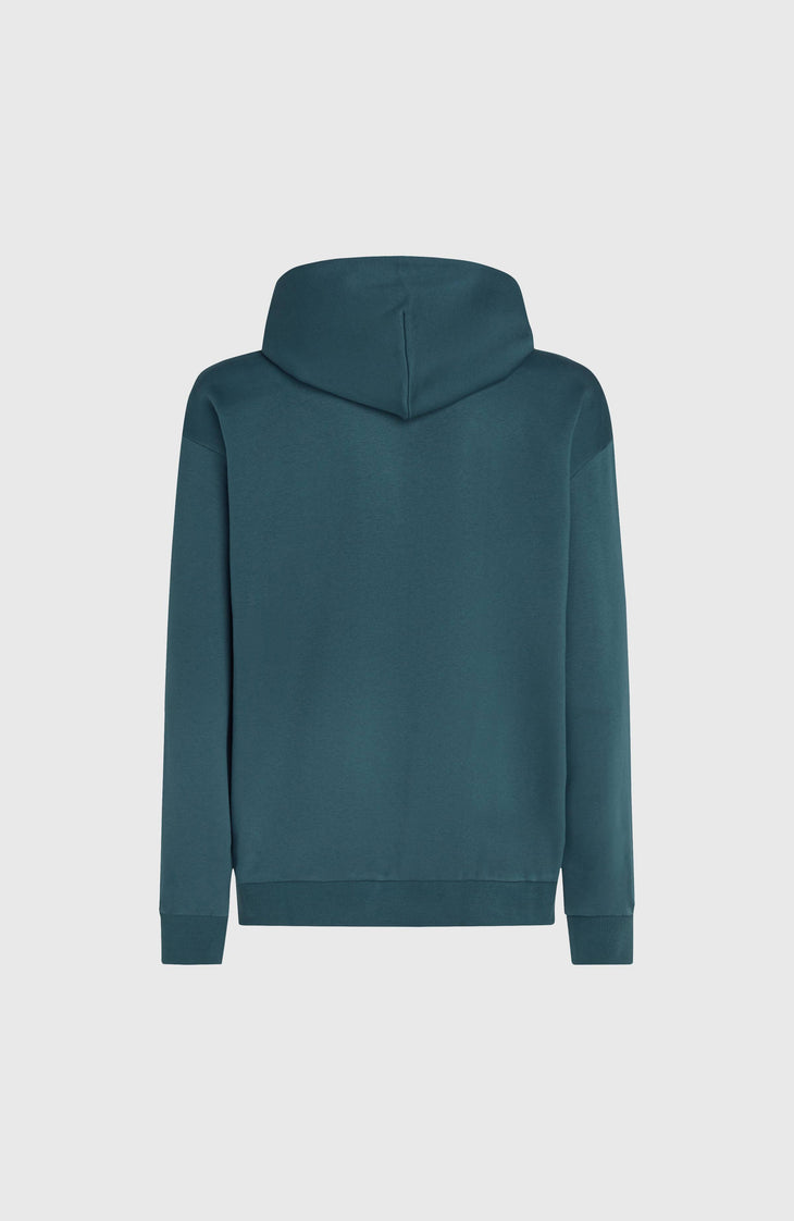 Sweat à capuche Future Surf Society | Alma Steel