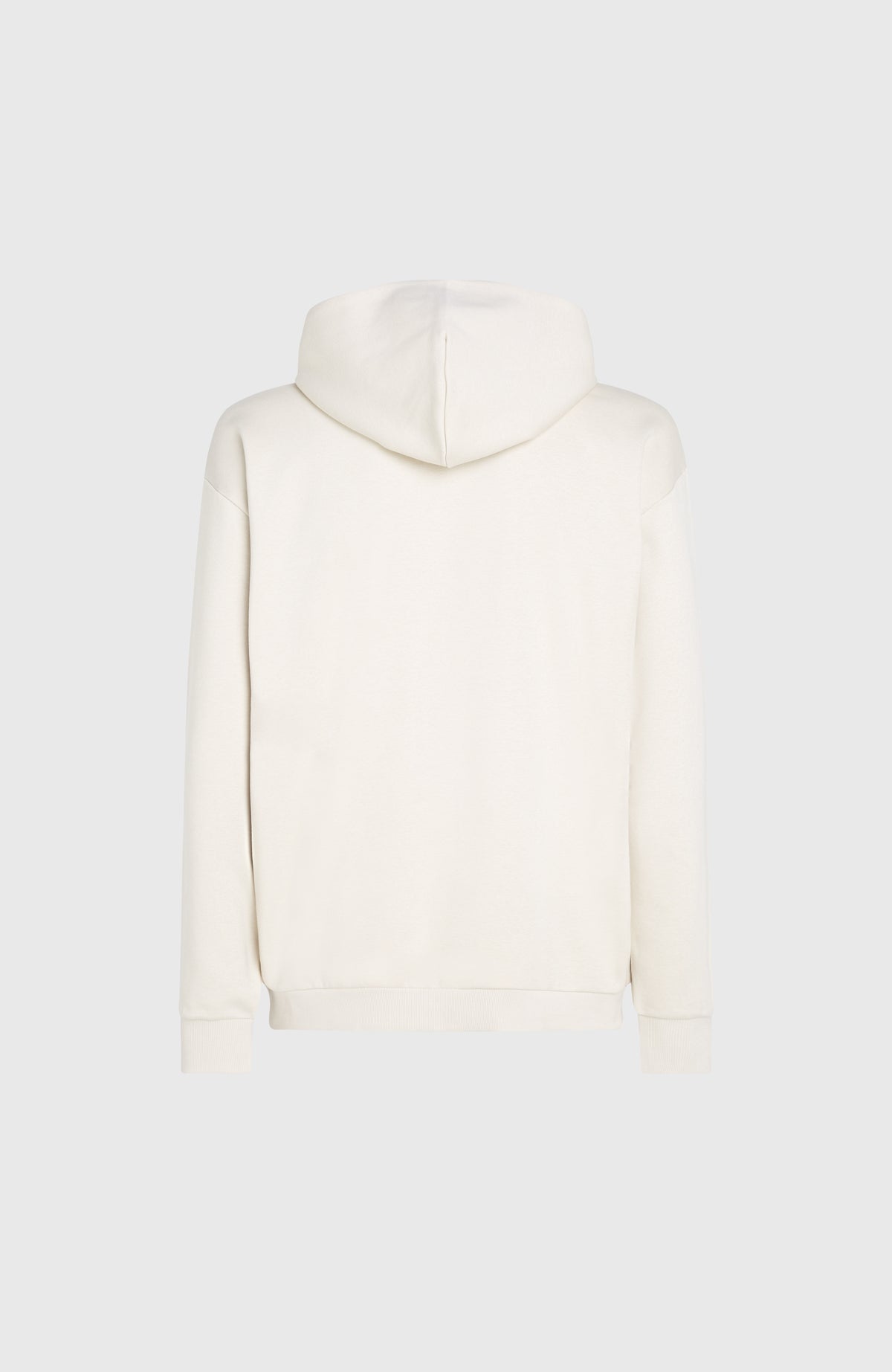 Sweat à capuche Future Surf Society | Atmosphere